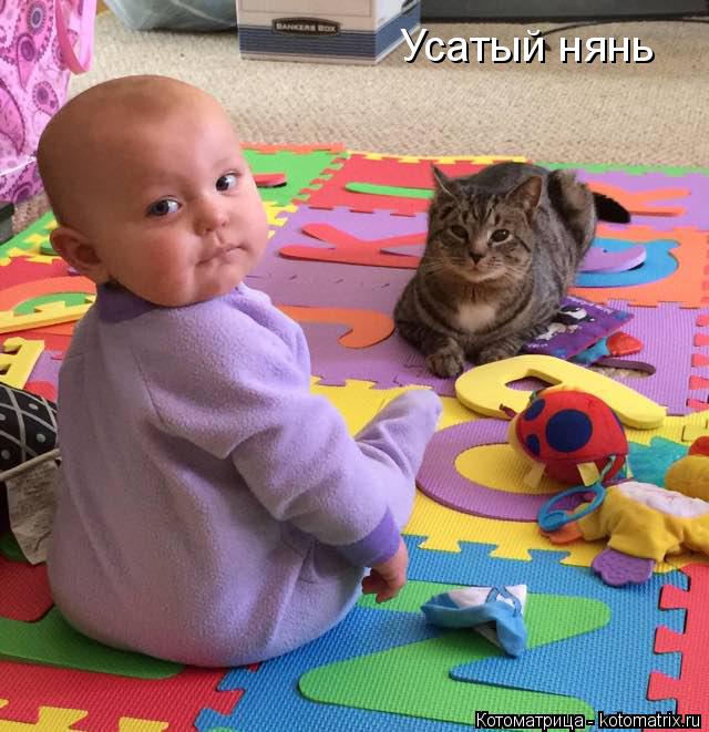 Усатый нянь... Котоматрица: Усатый нянь