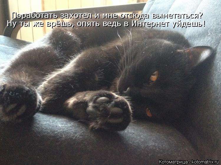 Поработать захотел и мне отсюда выметаться? Ну ты же врёшь, опять ведь в Интернет уйдешь!... Котоматрица: Поработать захотел и мне отсюда выметаться? Ну ты же врёшь, опять ведь в Интернет уйдешь!