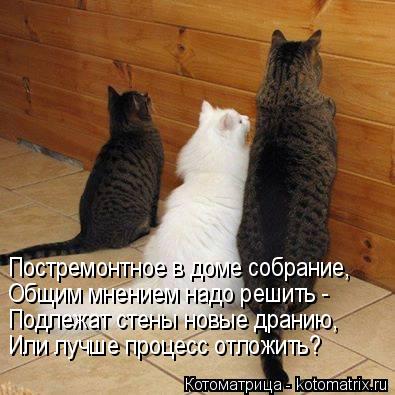 Постремонтное в доме собрание, Общим мнением надо решить - Подлежат стены новые дранию, Или лучше про... Котоматрица: Постремонтное в доме собрание, Общим мнением надо решить - Подлежат стены новые дранию, Или лучше процесс отложить?