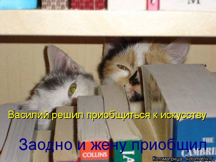 Василий решил приобщиться к искусству Заодно и жену приобщил... Котоматрица: Василий решил приобщиться к искусству Заодно и жену приобщил