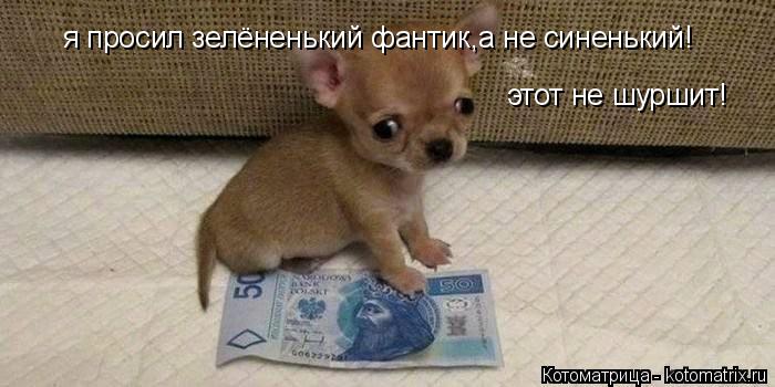 я просил зелёненький фантик,а не синенький! этот не шуршит!... Котоматрица: я просил зелёненький фантик,а не синенький! этот не шуршит!