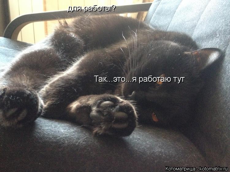 для работы? Так...это...я работаю тут... Котоматрица: для работы? Так...это...я работаю тут
