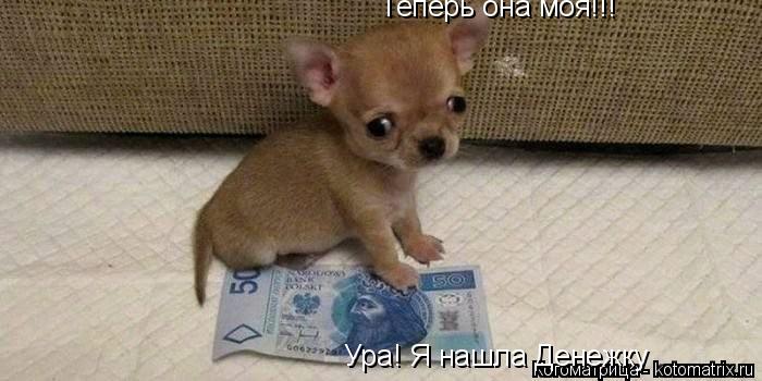 Ура! Я нашла Денежку Теперь она моя!!!... Котоматрица: Ура! Я нашла Денежку Теперь она моя!!!