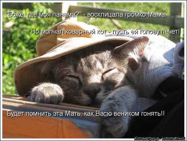 "Боже, где моя панама?" - восклицала громко Мама. Но молчал коварный кот - пусть ей голову печет! Буд... Котоматрица: "Боже, где моя панама?" - восклицала громко Мама. Но молчал коварный кот - пусть ей голову печет! Будет помнить эта Мать, как Васю веником гонят