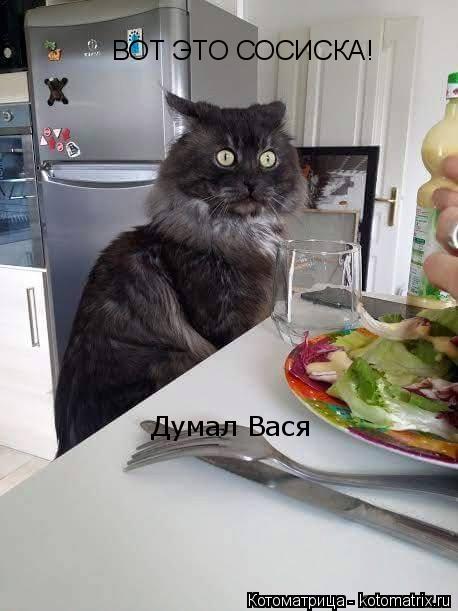 ВОТ ЭТО СОСИСКА! Думал Вася... Котоматрица: ВОТ ЭТО СОСИСКА! Думал Вася