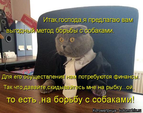 Итак,господа,я предлагаю вам выгодный метод борьбы с собаками. Для его осуществления нам потребуются... Котоматрица: Итак,господа,я предлагаю вам выгодный метод борьбы с собаками. Для его осуществления нам потребуются финансы. Так что,давайте,скидывайтес