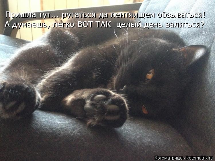 Пришла тут... ругаться да лентяищем обзываться! А думаешь, легко ВОТ ТАК целый день валяться?... Котоматрица: Пришла тут... ругаться да лентяищем обзываться! А думаешь, легко ВОТ ТАК целый день валяться?