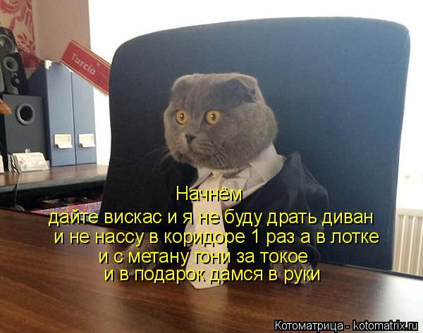 Начнём дайте вискас и я не буду драть диван и не нассу в коридоре 1 раз а в лотке и с метану гони за ... Котоматрица: Начнём дайте вискас и я не буду драть диван и не нассу в коридоре 1 раз а в лотке и с метану гони за токое и в подарок дамся в руки