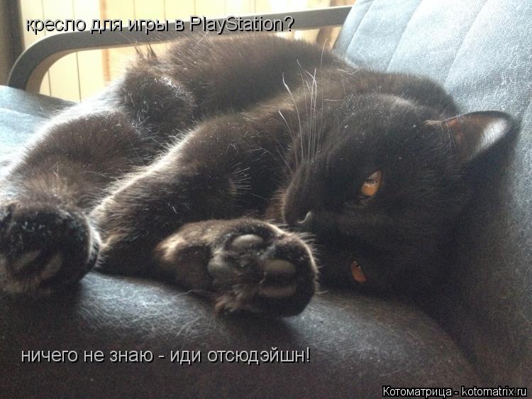 кресло для игры в PlayStation? кресло для игры в PlayStation? ничего не знаю - иди отсюдэйшн! ничег... Котоматрица: кресло для игры в PlayStation? кресло для игры в PlayStation? ничего не знаю - иди отсюдэйшн! ничего не знаю - иди отсюдэйшн!