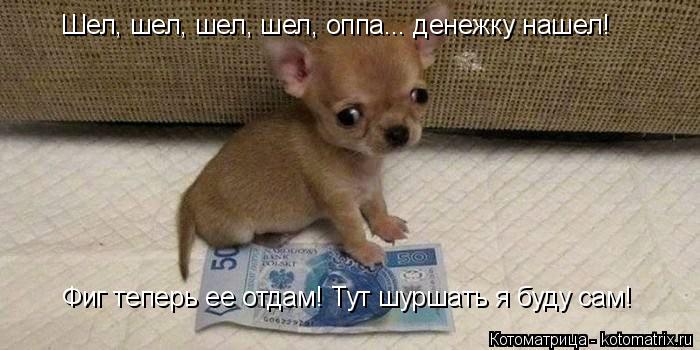Шел, шел, шел, шел, оппа... денежку нашел! Фиг теперь ее отдам! Тут шуршать я буду сам!... Котоматрица: Шел, шел, шел, шел, оппа... денежку нашел! Фиг теперь ее отдам! Тут шуршать я буду сам!