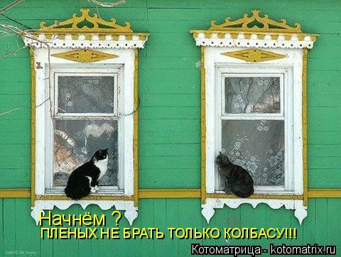 Начнём ? ПЛЕНЫХ НЕ БРАТЬ ТОЛЬКО КОЛБАСУ!!!... Котоматрица: Начнём ? ПЛЕНЫХ НЕ БРАТЬ ТОЛЬКО КОЛБАСУ!!!