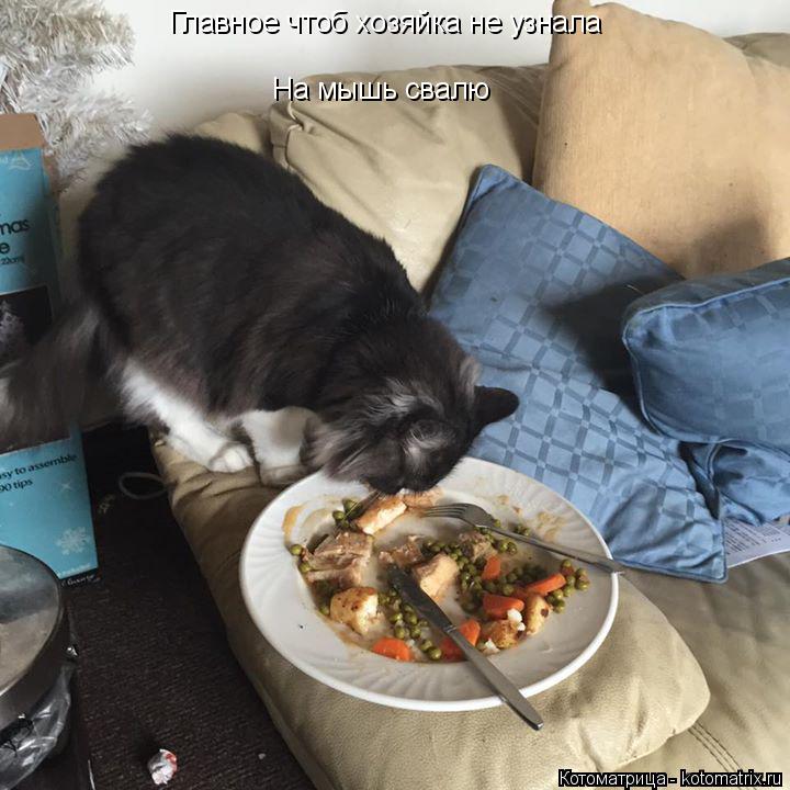 Главное чтоб хозяйка не узнала На мышь свалю... Котоматрица: Главное чтоб хозяйка не узнала На мышь свалю
