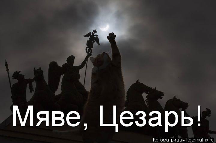 Мяве, Цезарь!... Котоматрица: Мяве, Цезарь!