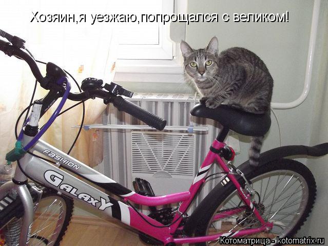 Хозяин,я уезжаю,попрощался с великом!... Котоматрица: Хозяин,я уезжаю,попрощался с великом!