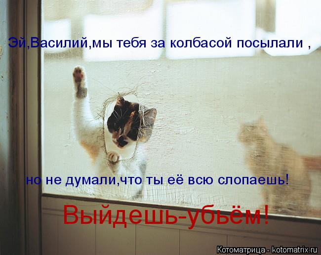 Эй,Василий,мы тебя за колбасой посылали , но не думали,что ты её всю слопаешь! Выйдешь-убьём!... Котоматрица: Эй,Василий,мы тебя за колбасой посылали , но не думали,что ты её всю слопаешь! Выйдешь-убьём!