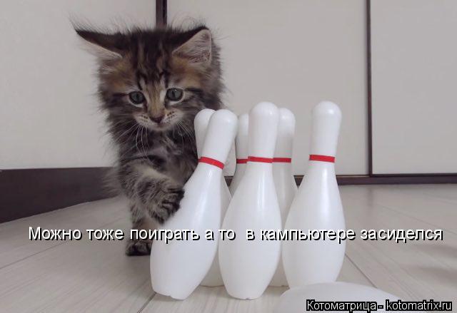 Можно тоже поиграть а то в кампьютере засиделся... Котоматрица: Можно тоже поиграть а то в кампьютере засиделся