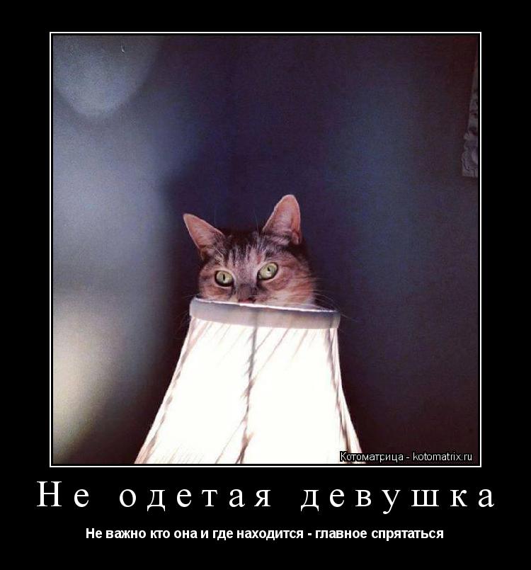 Не одетая девушка Не важно кто она и где находится - главное спрятаться... Котоматрица: Не одетая девушка Не важно кто она и где находится - главное спрятаться
