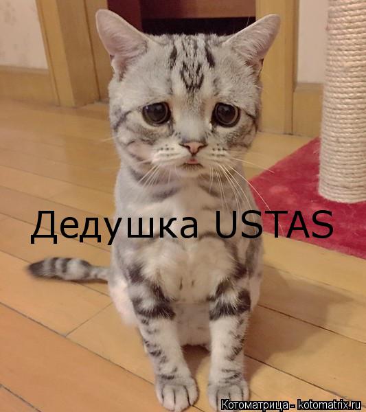 Дедушка USTAS... Котоматрица: Дедушка USTAS