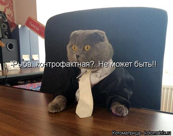 -Рыба..контрофактная?..Не может быть!!... Котоматрица: -Рыба..контрофактная?..Не может быть!!
