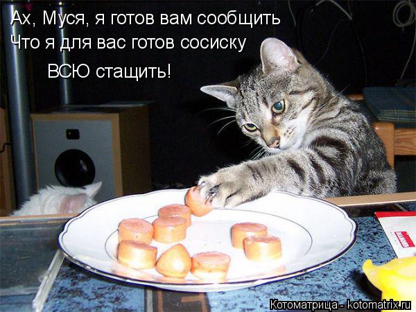 Ах, Муся, я готов вам сообщить Что я для вас готов сосиску ВСЮ стащить!... Котоматрица: Ах, Муся, я готов вам сообщить Что я для вас готов сосиску ВСЮ стащить!