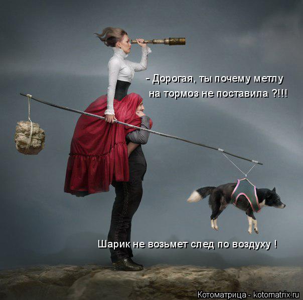 - Дорогая, ты почему метлу на тормоз не поставила ?!!! Шарик не возьмет след по воздуху !... Котоматрица: - Дорогая, ты почему метлу на тормоз не поставила ?!!! Шарик не возьмет след по воздуху !