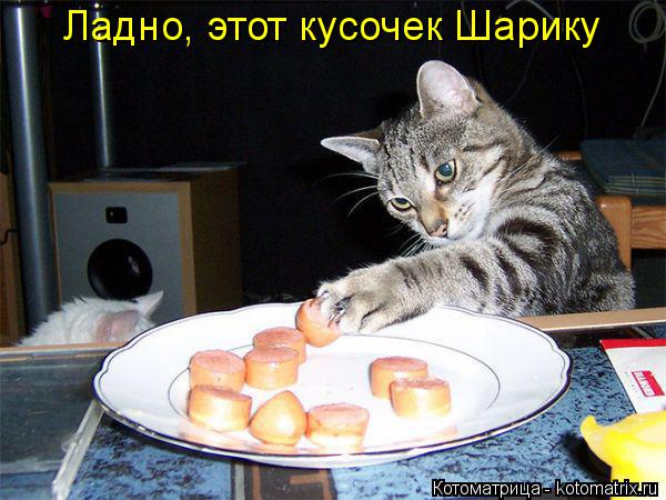 Ладно, этот кусочек Шарику... Котоматрица: Ладно, этот кусочек Шарику
