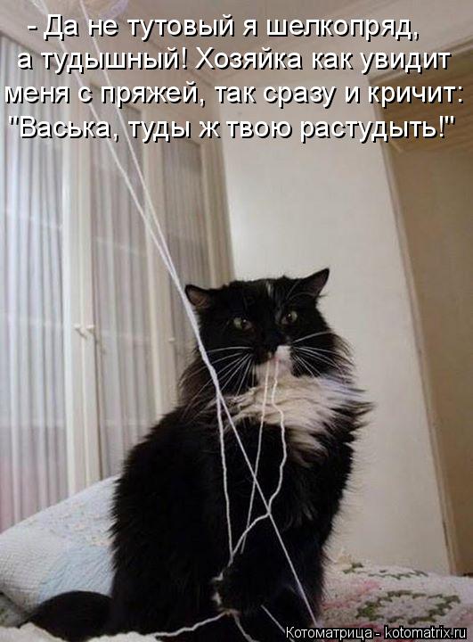 - Да не тутовый я шелкопряд, а тудышный! Хозяйка как увидит меня с пряжей, так сразу и кричит: "Вас... Котоматрица: - Да не тутовый я шелкопряд, а тудышный! Хозяйка как увидит меня с пряжей, так сразу и кричит: "Васька, туды ж твою растудыть!"