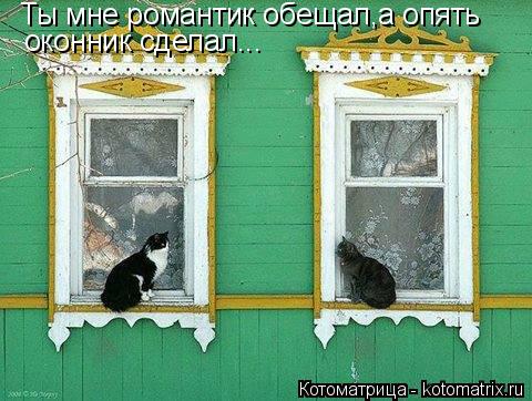 Ты мне романтик обещал,а опять оконник сделал...... Котоматрица: Ты мне романтик обещал,а опять оконник сделал...