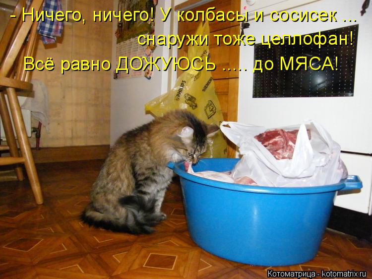 - Ничего, ничего! У колбасы и сосисек ... снаружи тоже целлофан! Всё равно ДОЖУЮСЬ ..... до МЯСА!... Котоматрица: - Ничего, ничего! У колбасы и сосисек ... снаружи тоже целлофан! Всё равно ДОЖУЮСЬ ..... до МЯСА!