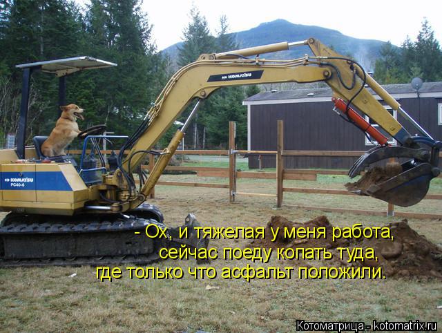 - Ох, и тяжелая у меня работа, сейчас поеду копать туда, где только что асфальт положили.... Котоматрица: - Ох, и тяжелая у меня работа, сейчас поеду копать туда, где только что асфальт положили.