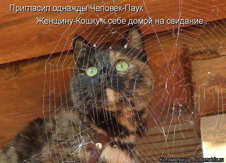 Пригласил однажды Человек-Паук Женщину-Кошку к себе домой на свидание...... Котоматрица: Пригласил однажды Человек-Паук Женщину-Кошку к себе домой на свидание...