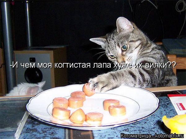 -И чем моя когтистая лапа хуже их вилки??... Котоматрица: -И чем моя когтистая лапа хуже их вилки??