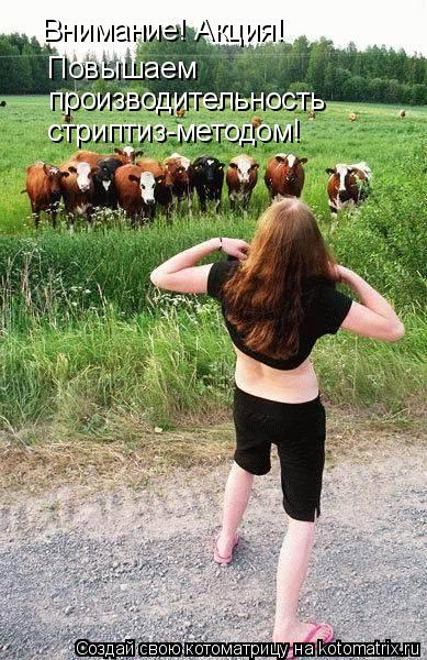 Внимание! Акция! Повышаем Повышаем производительность стриптиз-методом!... Котоматрица: Внимание! Акция! Повышаем Повышаем производительность стриптиз-методом!