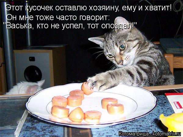 Этот кусочек оставлю хозяину, ему и хватит! Он мне тоже часто говорит: "Васька, кто не успел, тот опо... Котоматрица: Этот кусочек оставлю хозяину, ему и хватит! Он мне тоже часто говорит: "Васька, кто не успел, тот опоздал!"