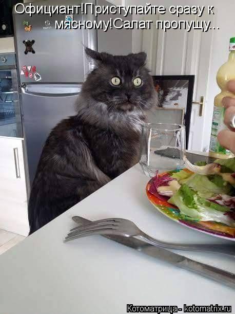 Официант!Приступайте сразу к мясному!Салат пропущу...... Котоматрица: Официант!Приступайте сразу к мясному!Салат пропущу...