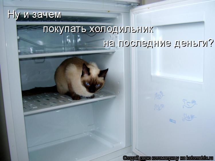 Котоматрица: Ну и зачем  покупать холодильник на последние деньги?