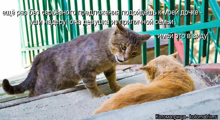 ещё раз без серьёзного предложения подойдёшь к моей дочке - уши надеру! она девушка из приличной семь... Котоматрица: ещё раз без серьёзного предложения подойдёшь к моей дочке - уши надеру! она девушка из приличной семьи, имей это в виду!