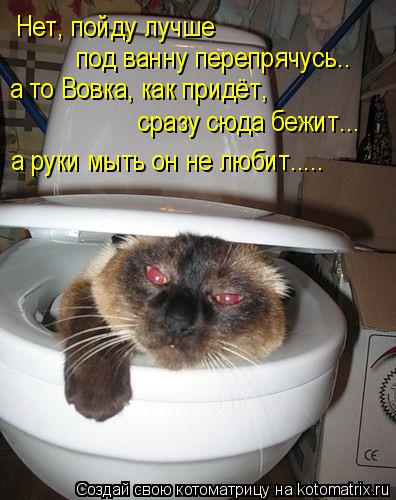 Нет, пойду лучше под ванну перепрячусь.. а то Вовка, как придёт, сразу сюда бежит... а руки мыть он... Котоматрица: Нет, пойду лучше под ванну перепрячусь.. а то Вовка, как придёт, сразу сюда бежит... а руки мыть он не любит.....