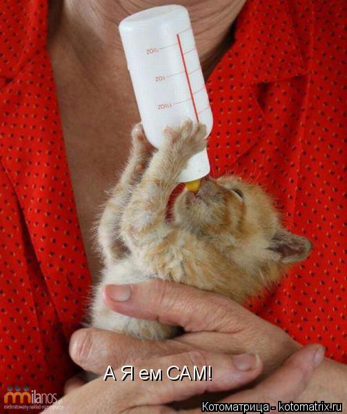 А Я ем САМ!... Котоматрица: А Я ем САМ!