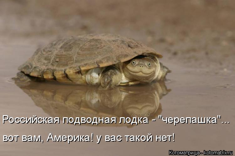 Российская подводная лодка - "черепашка"... вот вам, Америка! у вас такой нет!... Котоматрица: Российская подводная лодка - "черепашка"... вот вам, Америка! у вас такой нет!