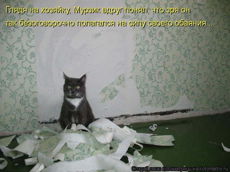 Глядя на хозяйку, Мурзик вдруг понял, что зря он так безоговорочно полагался на силу своего обаяния..... Котоматрица: Глядя на хозяйку, Мурзик вдруг понял, что зря он так безоговорочно полагался на силу своего обаяния...