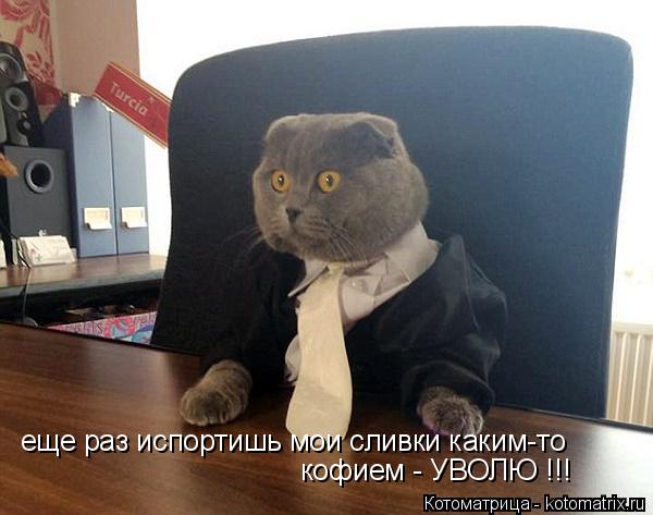 еще раз испортишь мои сливки каким-то кофием - УВОЛЮ !!!... Котоматрица: еще раз испортишь мои сливки каким-то кофием - УВОЛЮ !!!