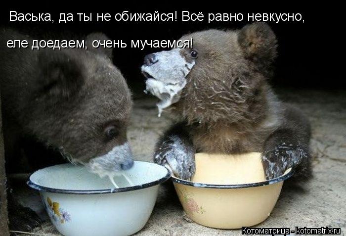 Васька, да ты не обижайся! Всё равно невкусно, еле доедаем, очень мучаемся!... Котоматрица: Васька, да ты не обижайся! Всё равно невкусно, еле доедаем, очень мучаемся!