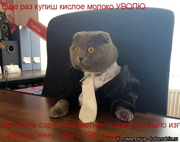 Еще раз купиш кислое молоко УВОЛЮ Простите сэр я не заметил что молоко было изготовленно еще в 1987 г... Котоматрица: Еще раз купиш кислое молоко УВОЛЮ Простите сэр я не заметил что молоко было изготовленно еще в 1987 году=) изготовленно еще в 1987 году=)