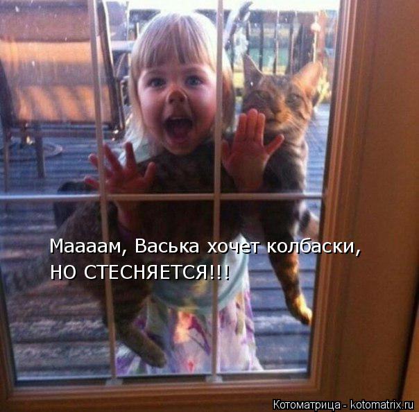 Маааам, Васька хочет колбаски, НО СТЕСНЯЕТСЯ!!!... Котоматрица: Маааам, Васька хочет колбаски, НО СТЕСНЯЕТСЯ!!!