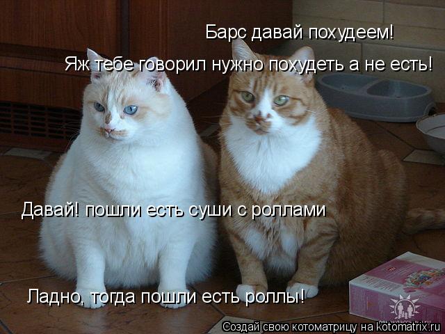 Барс давай похудеем! Яж тебе говорил нужно похудеть а не есть! Ладно, тогда пошли есть роллы! Давай! ... Котоматрица: Барс давай похудеем! Яж тебе говорил нужно похудеть а не есть! Ладно, тогда пошли есть роллы! Давай! пошли есть суши с роллами