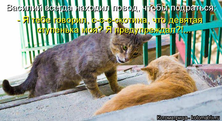 Василий всегда находил повод, чтобы подраться: - Я тебе говорил, с-с-с-скотина, что девятая ступеньк... Котоматрица: Василий всегда находил повод, чтобы подраться: - Я тебе говорил, с-с-с-скотина, что девятая ступенька моя? Я предупреждал?!...
