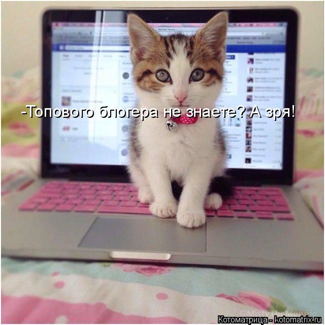 -Топового блогера не знаете? А зря!... Котоматрица: -Топового блогера не знаете? А зря!