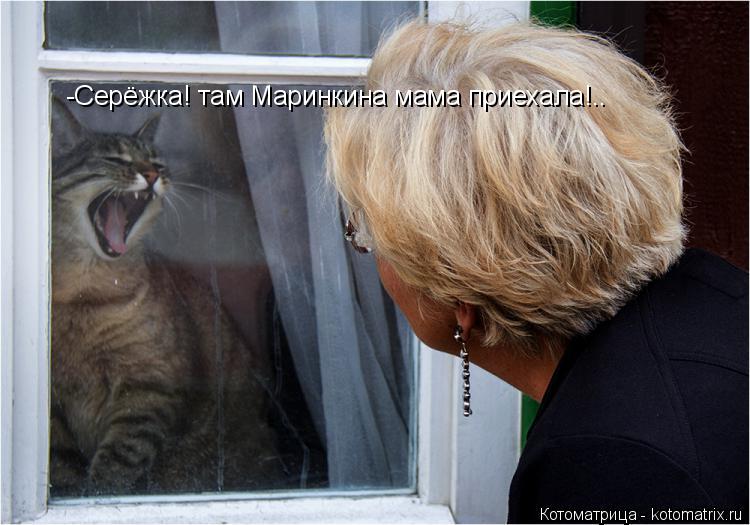 -Серёжка! там Маринкина мама приехала!..... Котоматрица: -Серёжка! там Маринкина мама приехала!..