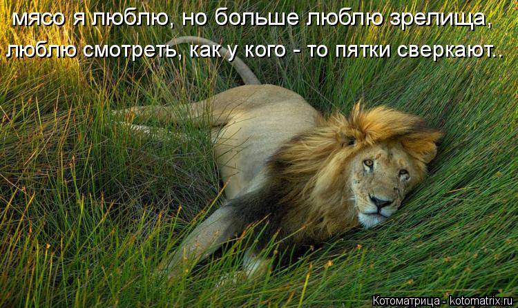 мясо я люблю, но больше люблю зрелища, люблю смотреть, как у кого - то пятки сверкают..... Котоматрица: мясо я люблю, но больше люблю зрелища, люблю смотреть, как у кого - то пятки сверкают..